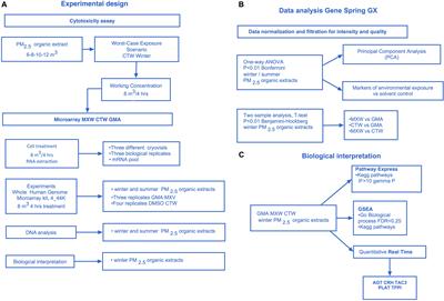 The Secretive Liaison of Particulate Matter and SARS-CoV-2. A Hypothesis and Theory Investigation